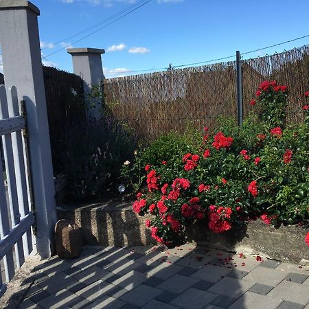 Les Magnolias En Alsace - Meuble De Tourisme 3 Etoiles Apartment Barembach Екстериор снимка