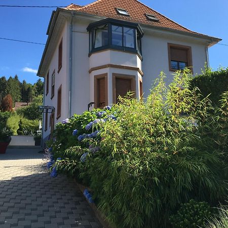 Les Magnolias En Alsace - Meuble De Tourisme 3 Etoiles Apartment Barembach Екстериор снимка