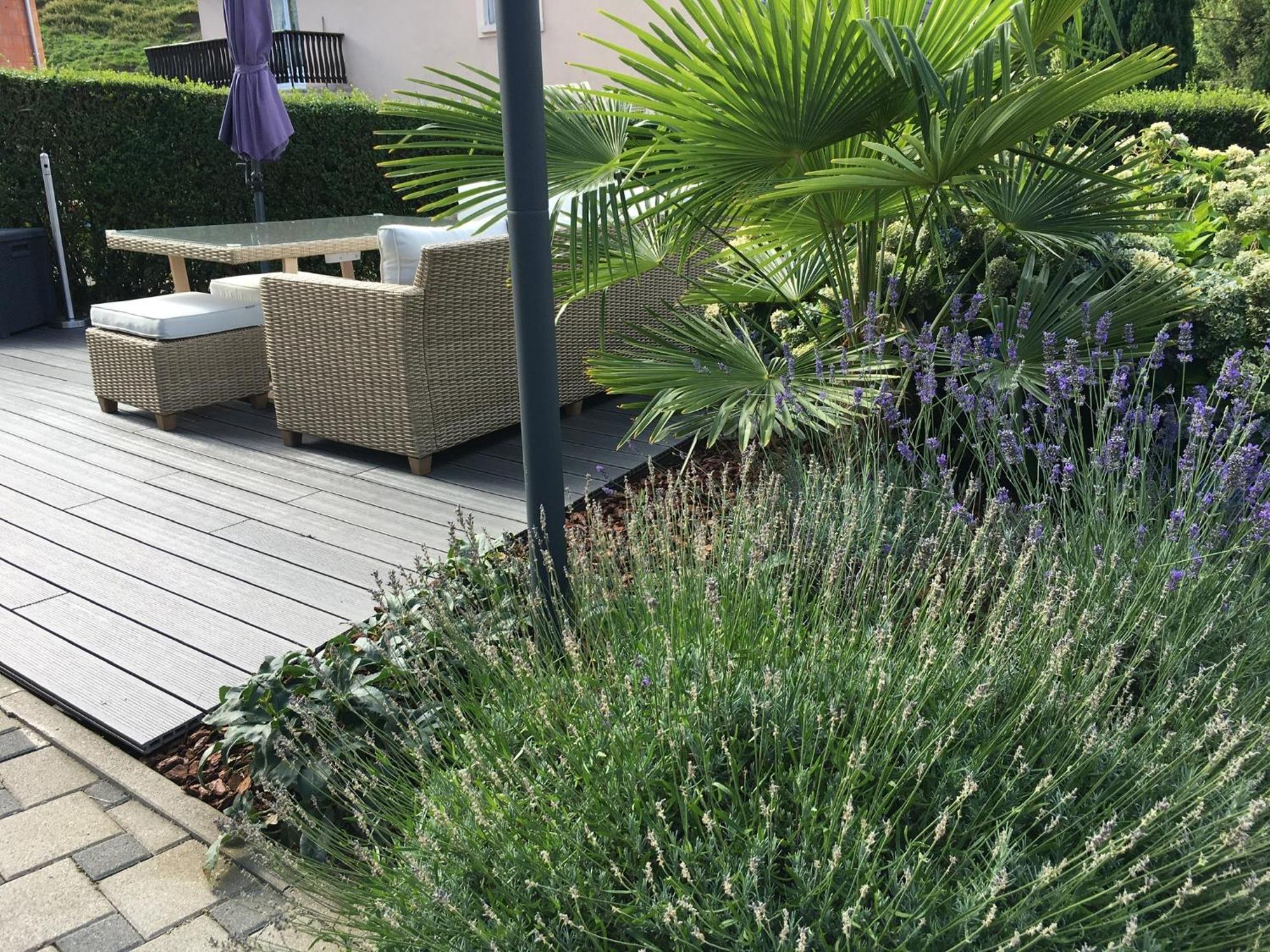 Les Magnolias En Alsace - Meuble De Tourisme 3 Etoiles Apartment Barembach Екстериор снимка