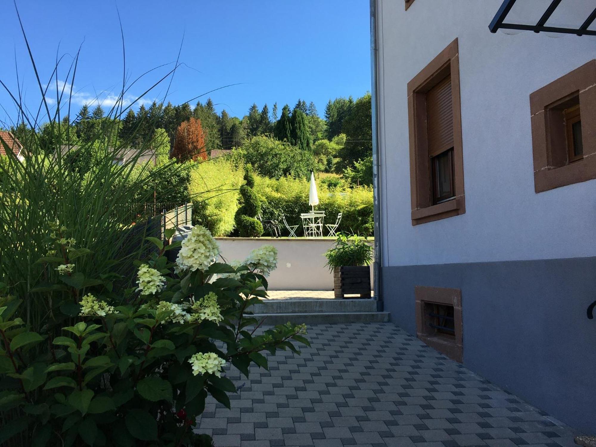 Les Magnolias En Alsace - Meuble De Tourisme 3 Etoiles Apartment Barembach Екстериор снимка